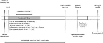 Prophylactic Use of Meloxicam and Paracetamol in Peripartal Sows Suffering From Postpartum Dysgalactia Syndrome